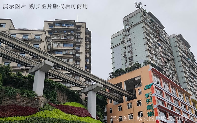 俯仰世界 归此天地〡臻品敬献全城
